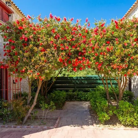 Zozel Drosia (Zakynthos)